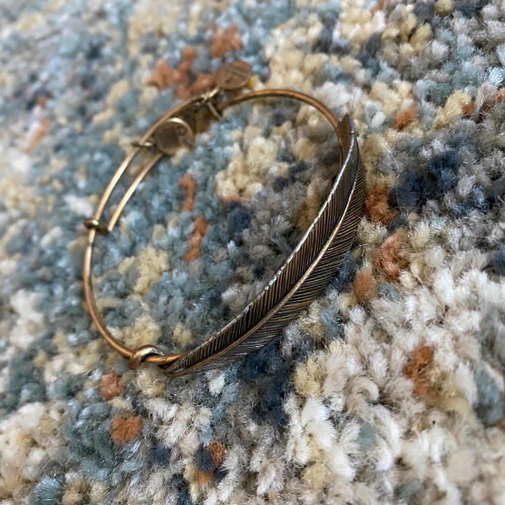 ALEX AND ANI bracelet